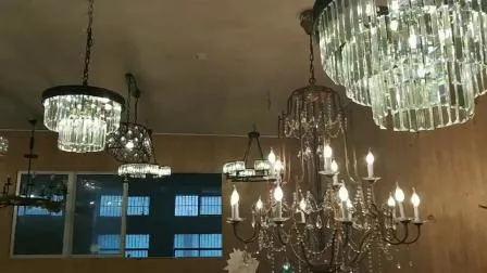Indoor Home Decoration LED Modern Ceiling Chandelier Pendant Lamp (WH-AP-46)