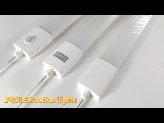 LED Tri-Proof Batten Lights with Openable End Caps for Easy Replacement of Driver